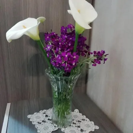 Stone House E Zia Rosina Bed & Breakfast *